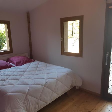 Charmant Appartement Vue Sur La Riviere. Albi Exterior photo