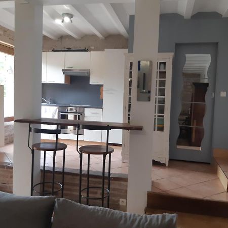 Charmant Appartement Vue Sur La Riviere. Albi Exterior photo