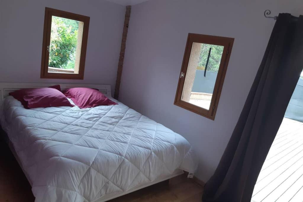 Charmant Appartement Vue Sur La Riviere. Albi Exterior photo