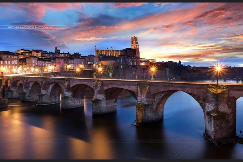 Charmant Appartement Vue Sur La Riviere. Albi Exterior photo